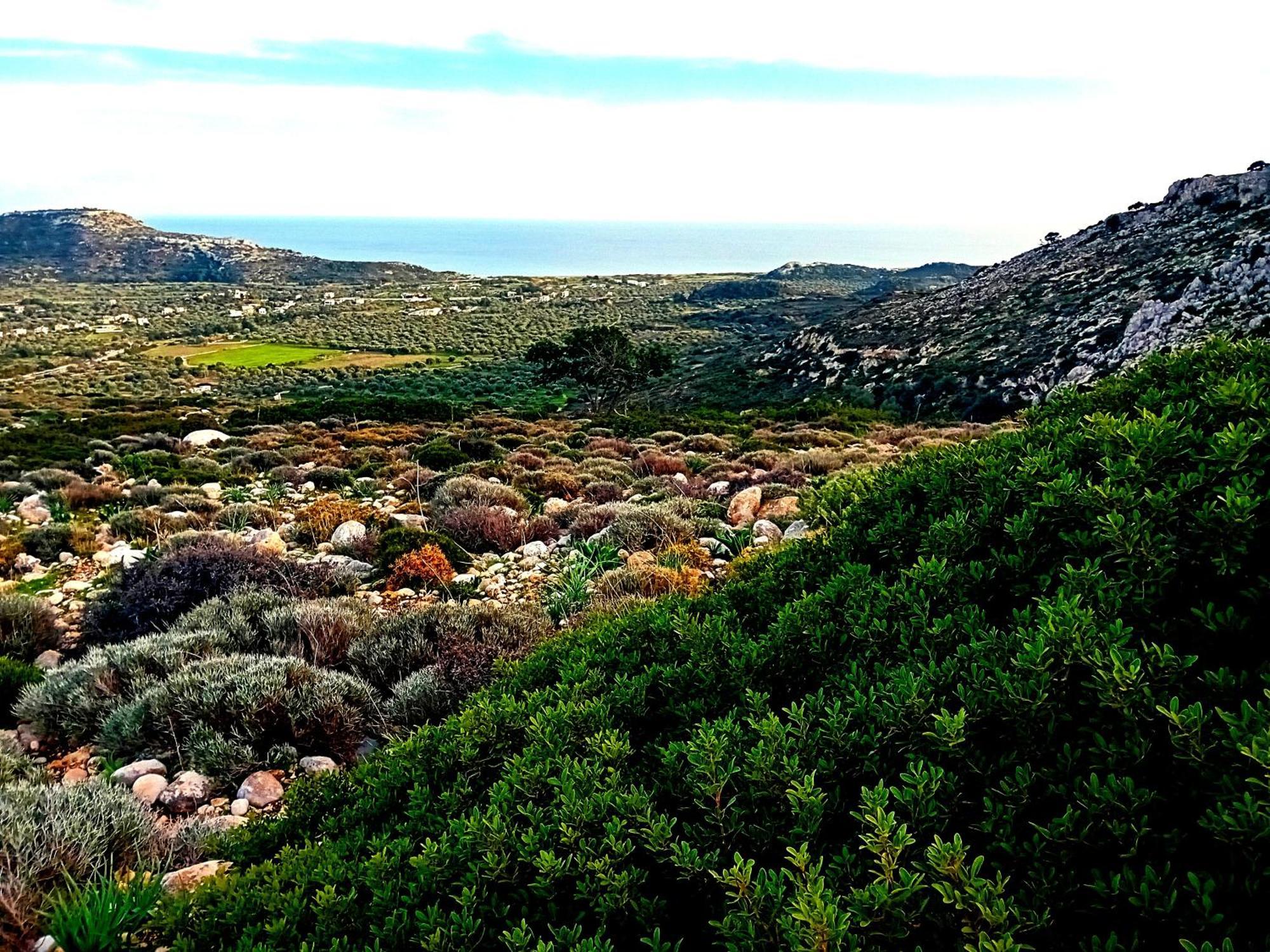 Lucidum Villa Rhodes Φαληράκι Εξωτερικό φωτογραφία